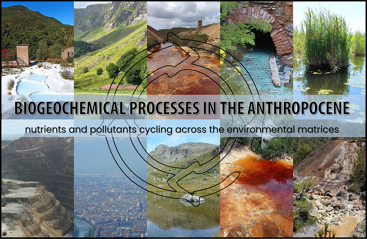 P2. Biogeochemical processes in the Anthropocene: nutrients and pollutants cycling across the environmental matrices