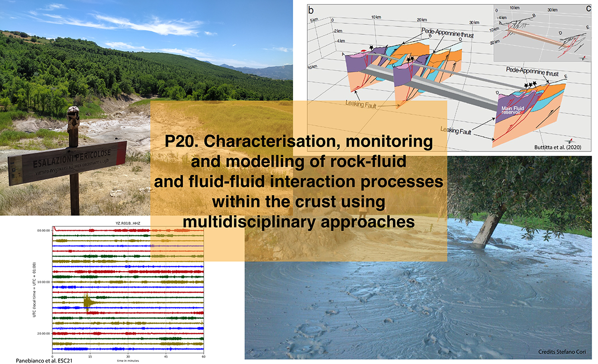 P20. Characterisation, monitoring and modelling of rock-fluid and fluid-fluid interaction processes within the crust using multidisciplinary approaches