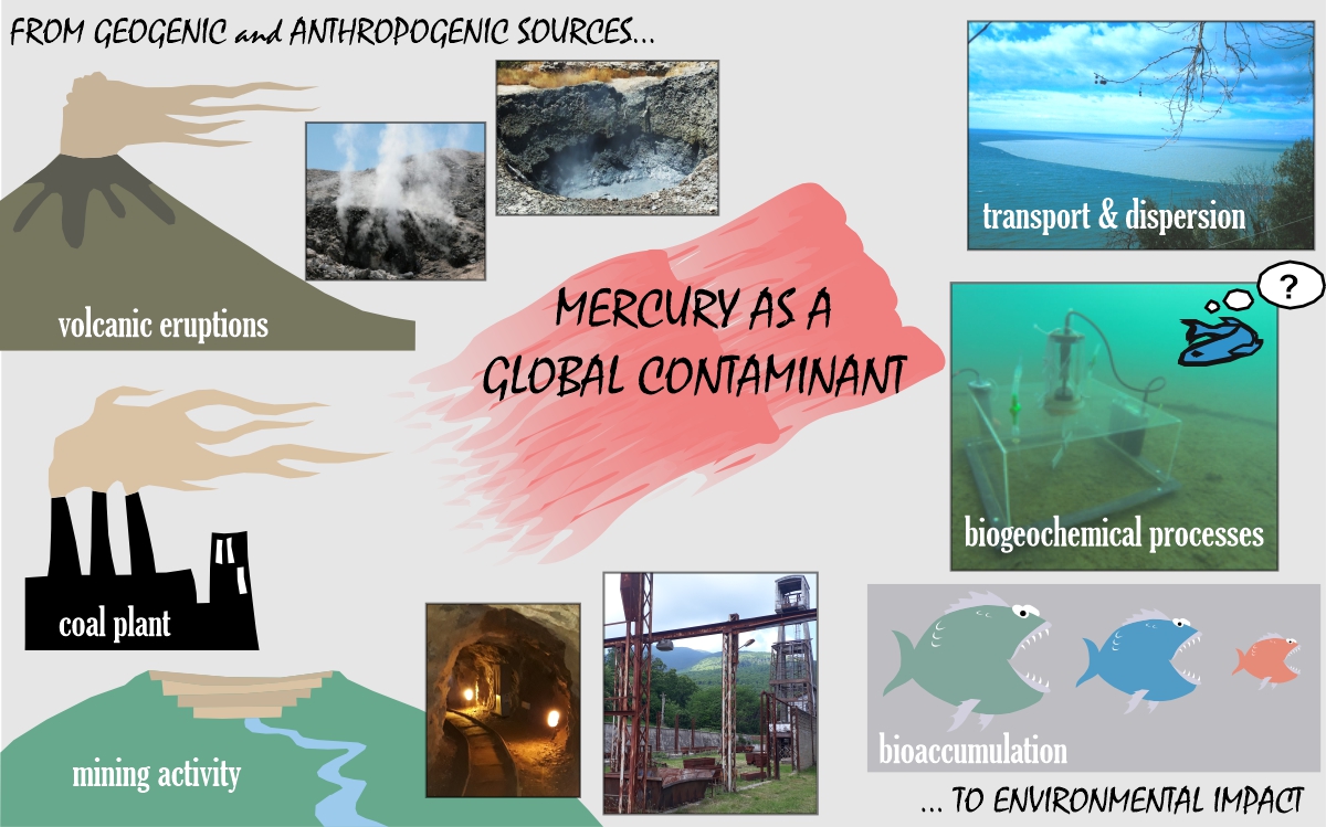 P24. Mercury as a global contaminant: from geogenic and anthropogenic sources to environmental impact and potential remediation strategies