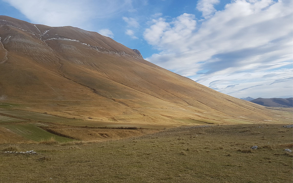 P29. Exploring the feedback between tectonics and landscape evolution processes